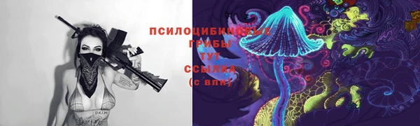 гашик Нягань