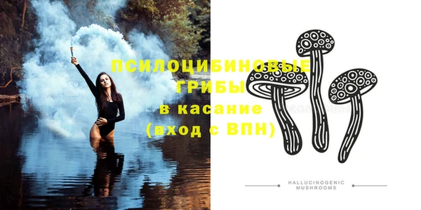 гашик Нягань