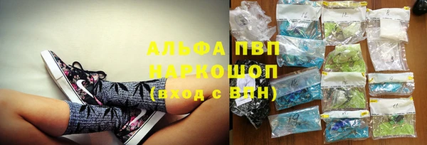 гашик Нягань
