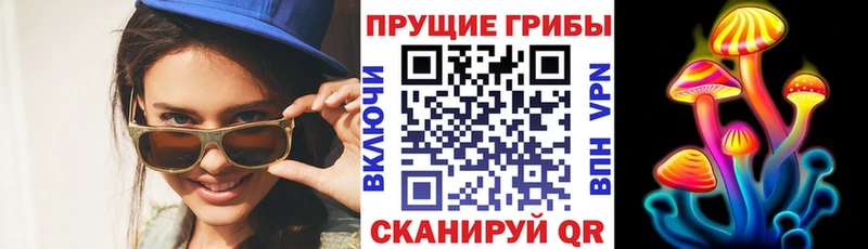 KRAKEN рабочий сайт  Бавлы  Псилоцибиновые грибы Cubensis 